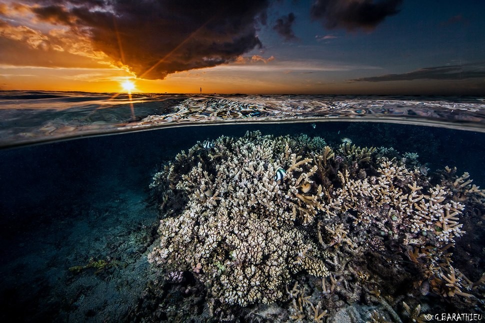 underwater19 Что скрывается под водой: 34 невероятные фотографии