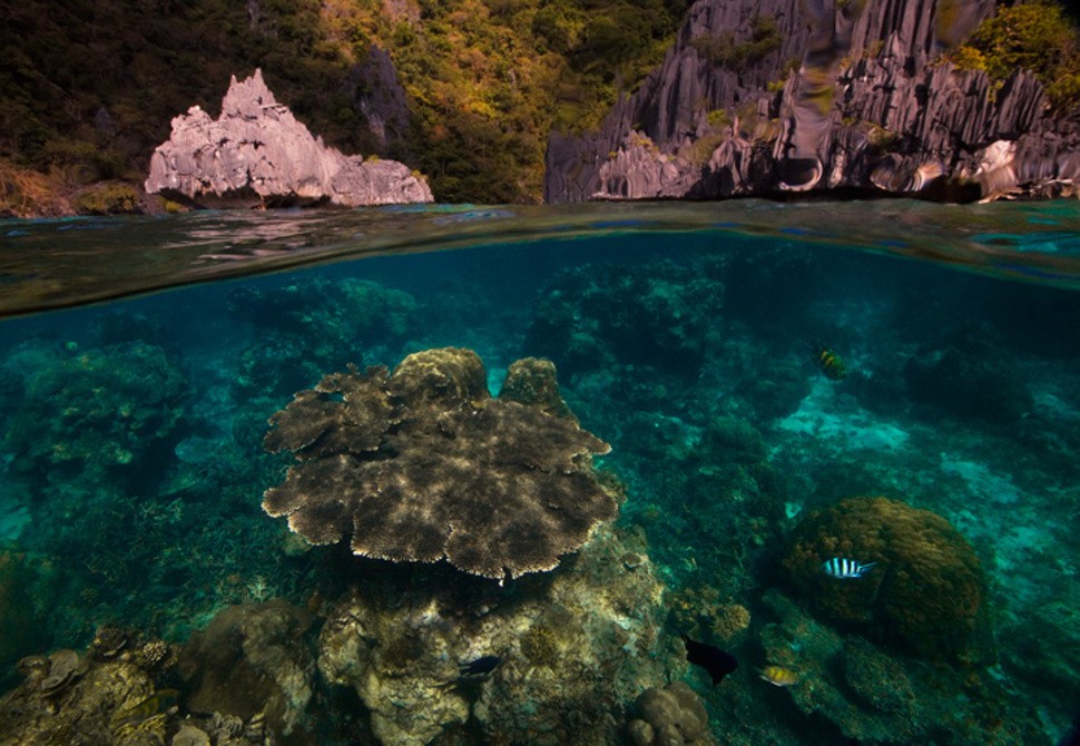 underwater26 Что скрывается под водой: 34 невероятные фотографии