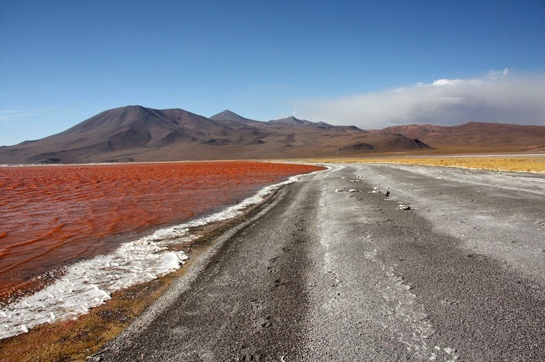 LagunaColorada07 Кровавая лагуна в Боливии