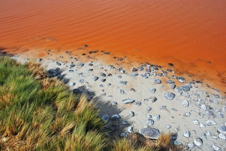 LagunaColorada08 Кровавая лагуна в Боливии