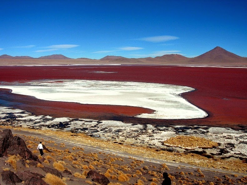 LagunaColorada10 Кровавая лагуна в Боливии