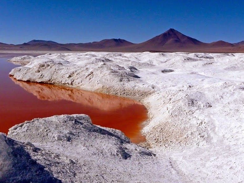LagunaColorada11 Кровавая лагуна в Боливии