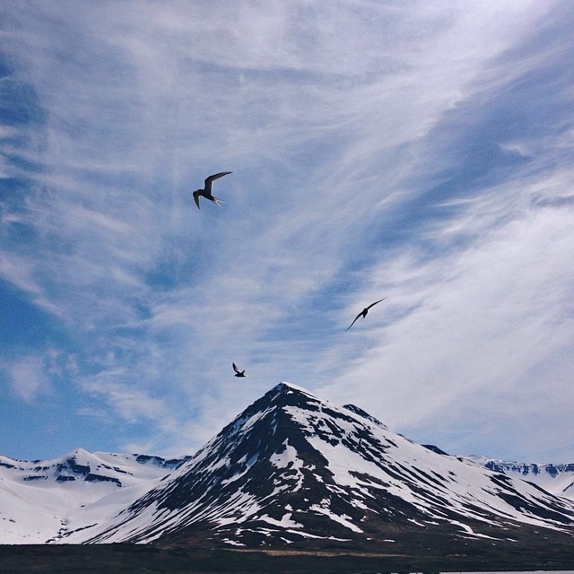 icelandinstagram05 Репортаж из Instagram: Исландия