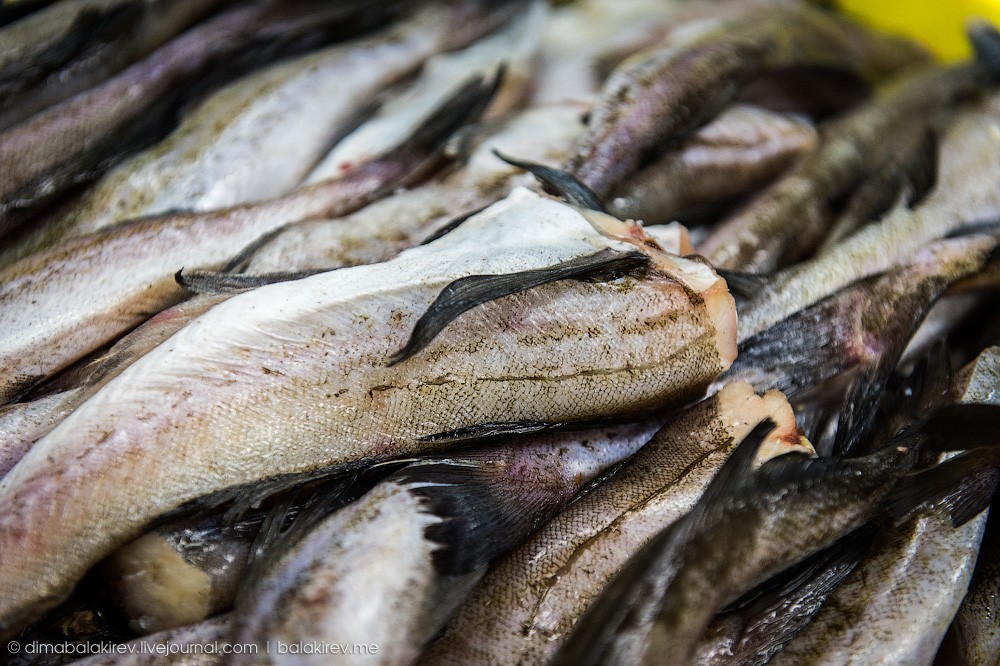 Fishplant15 Как работает рыбный завод в Магадане