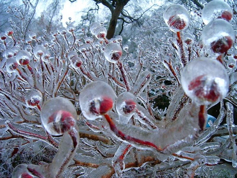 Icebeauty08 800x599 Ледяное вдохновение   23 фото интересных образований изо льда