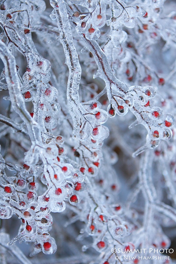 Icebeauty18 Ледяное вдохновение — 23 фото интересных образований изо льда