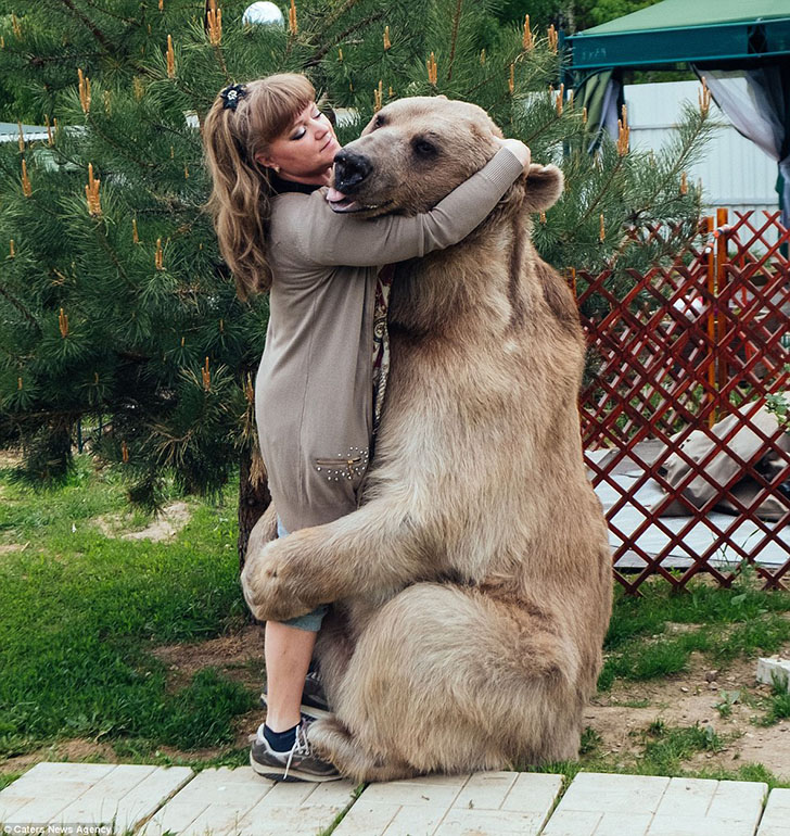 В русской семье живёт медведь. Без шуток - медведь! 