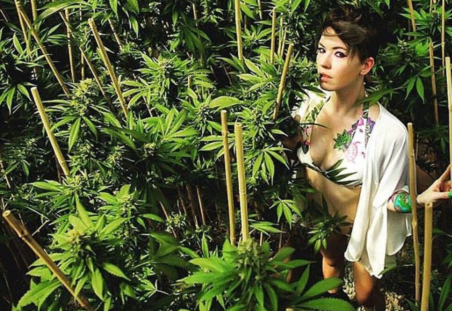 Marijuana With Nude Girl