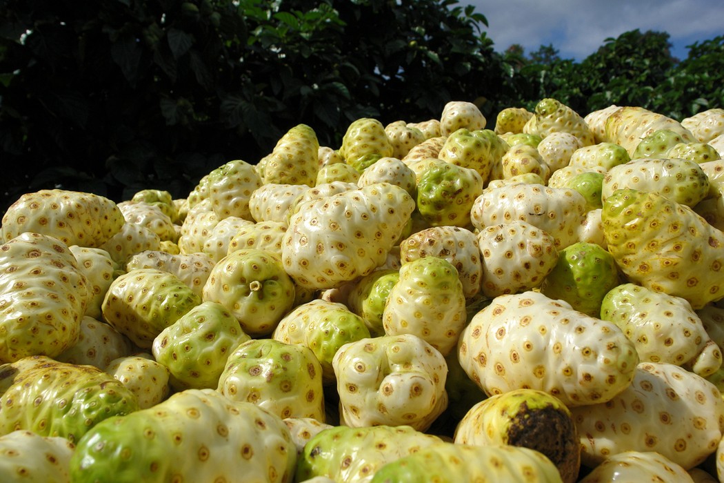 exoticfruits04 14 экзотических фруктов, которые обязательно стоит попробовать