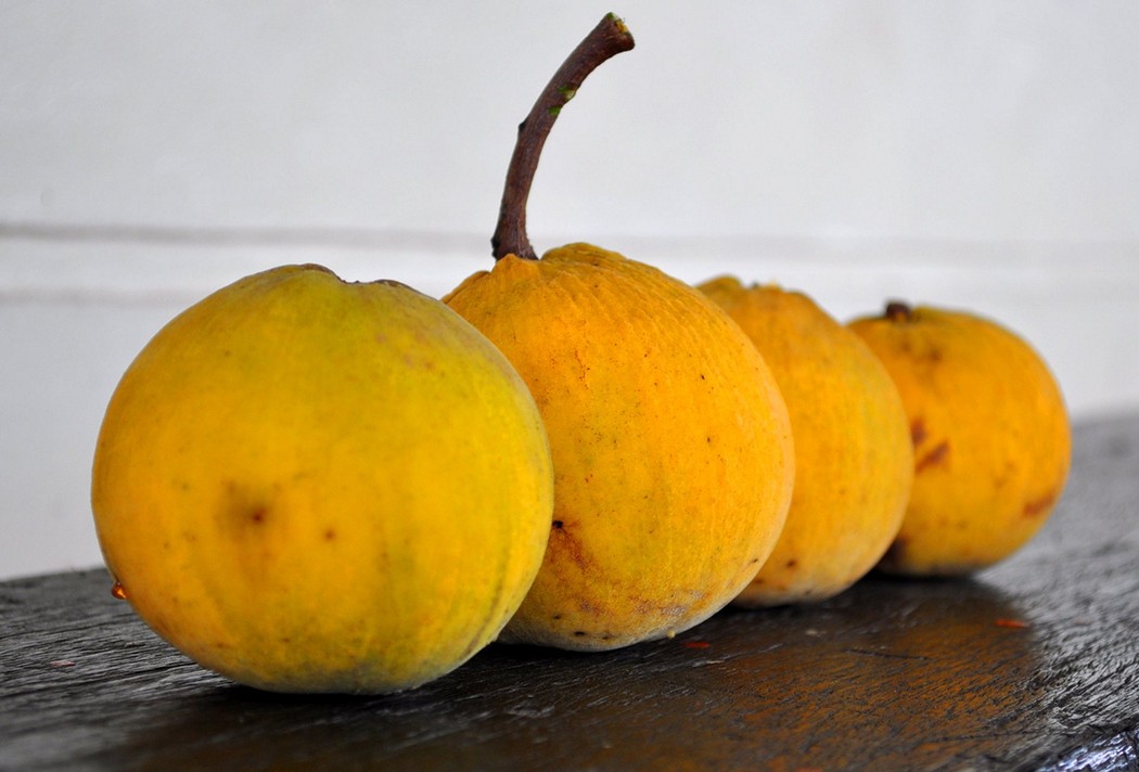 exoticfruits10 14 экзотических фруктов, которые обязательно стоит попробовать