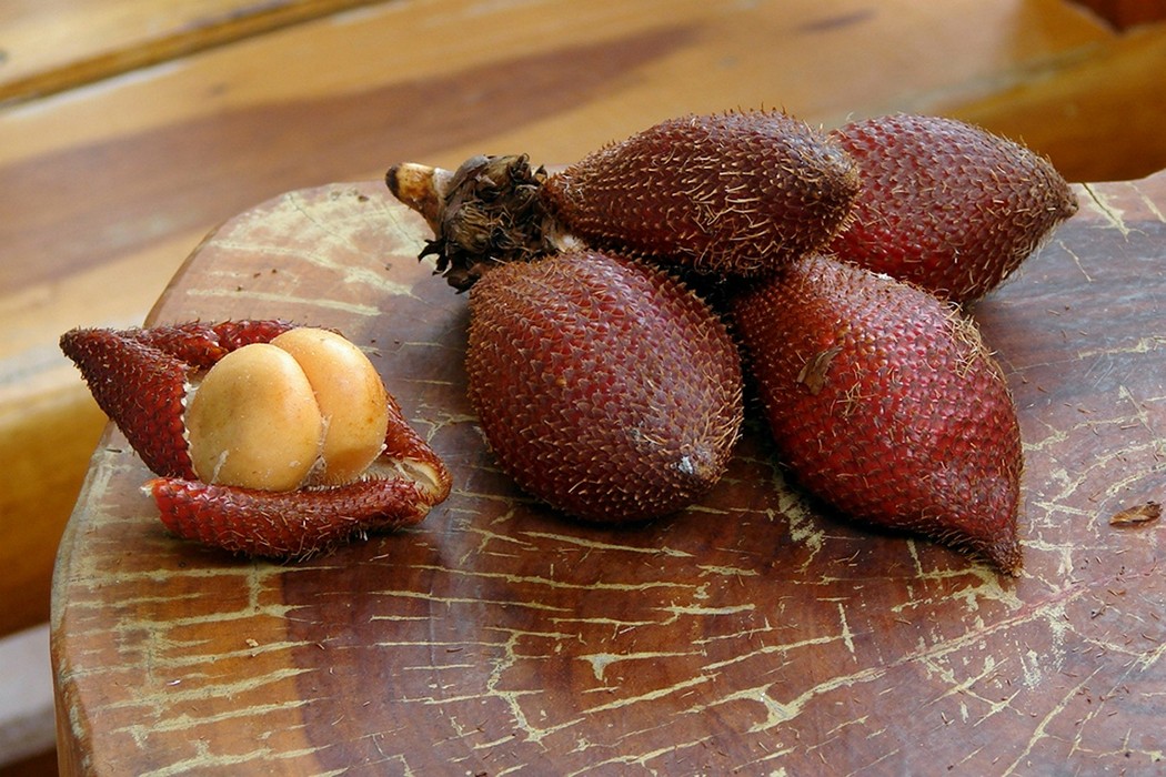 exoticfruits12 14 экзотических фруктов, которые обязательно стоит попробовать