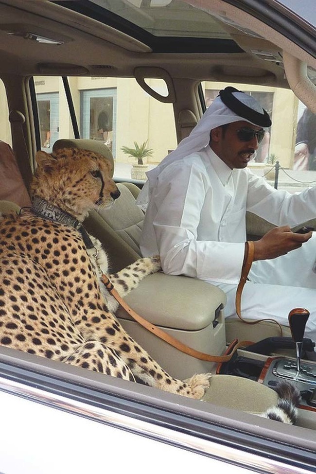 Дубай — это невероятное место, полное диковинок, роскоши и богатых чудаков. ФОТО