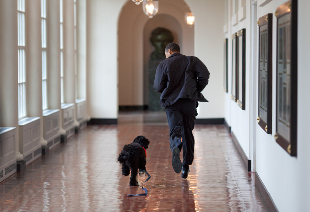 Фотография: Президент Обама: первые 167 дней на посту №29 - BigPicture.ru