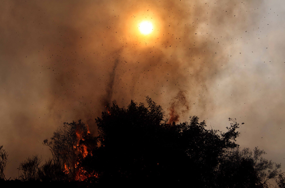 Фотография: Пожары в Калифорнии №11 - BigPicture.ru