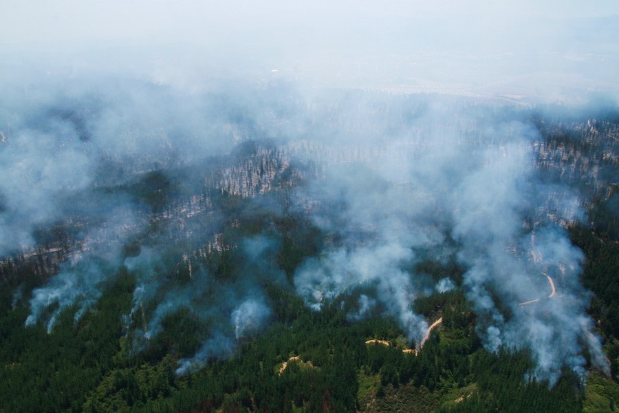 Фотография: Лесные пожары в Чили №5 - BigPicture.ru