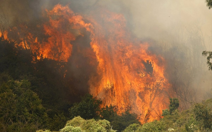 Фотография: Лесные пожары в Чили №4 - BigPicture.ru