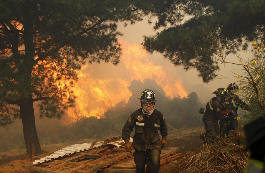 Фотография: Лесные пожары в Чили №2 - BigPicture.ru