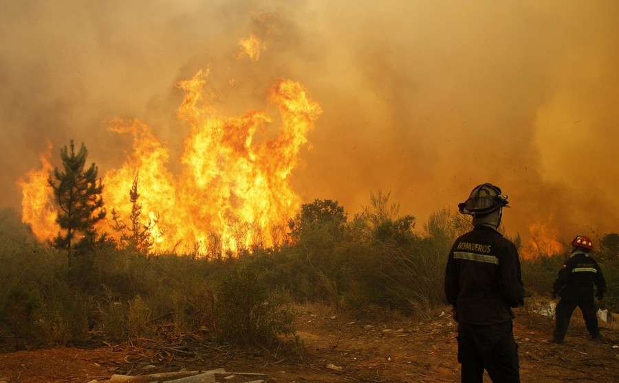 Фотография: Лесные пожары в Чили №15 - BigPicture.ru