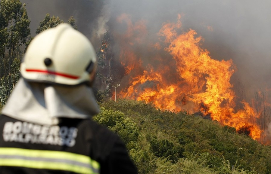 Фотография: Лесные пожары в Чили №13 - BigPicture.ru