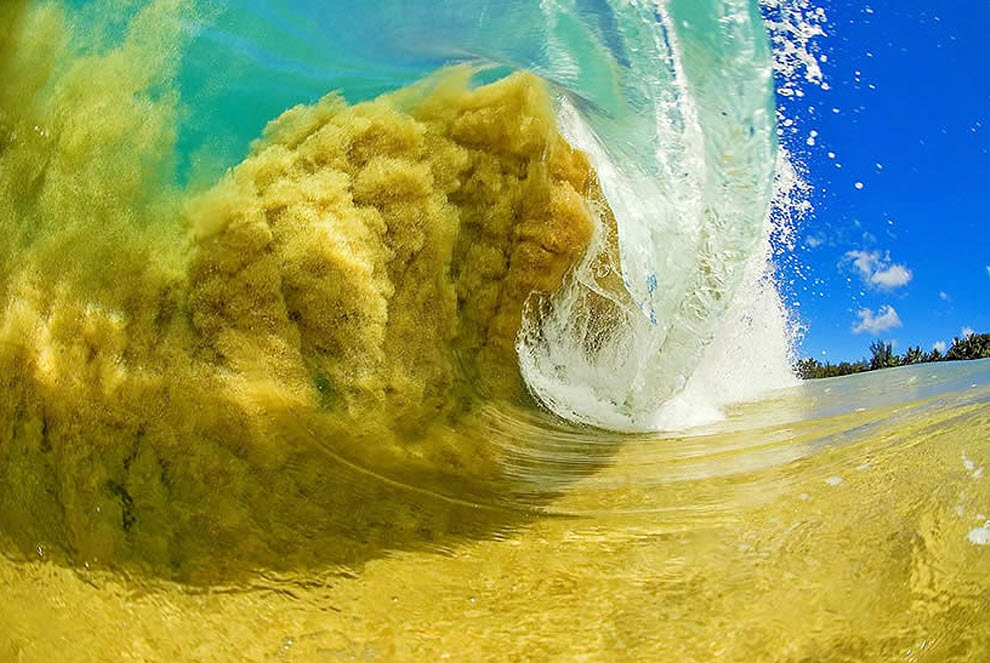 Фотография: Самые красивые гавайские волны от Кларка Литтла №3 - BigPicture.ru