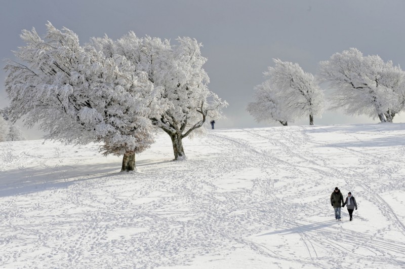 Фотография: Зима №1 - BigPicture.ru