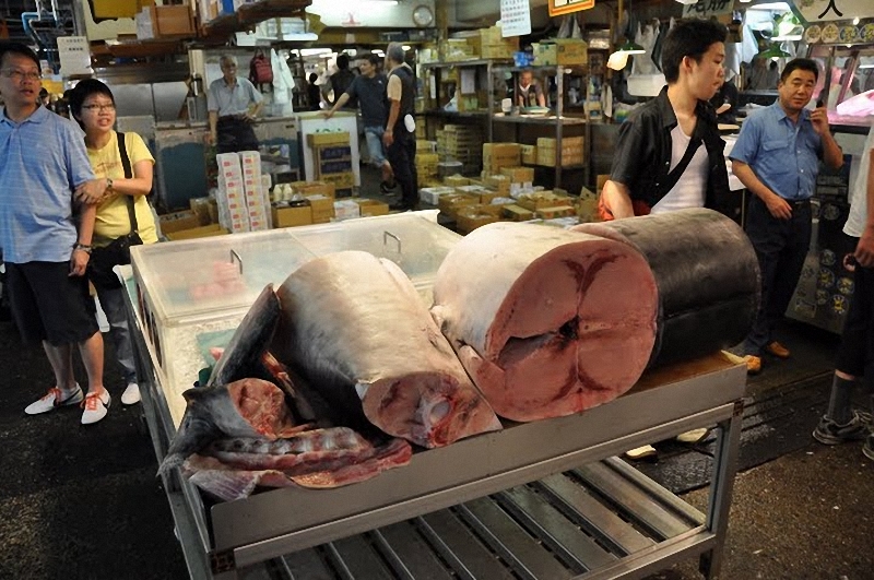Фотография: Рыбный рынок Цукидзи в Токио №2 - BigPicture.ru