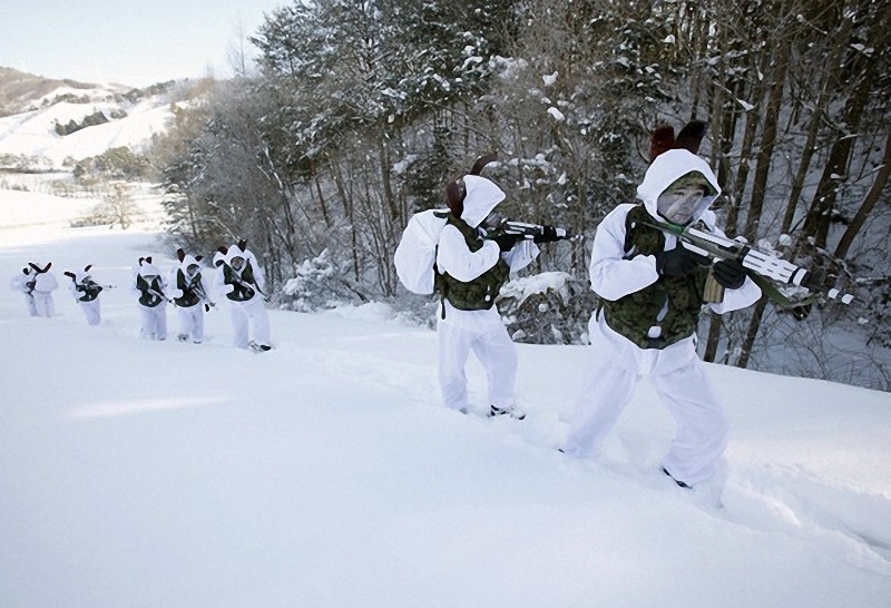 Фотография: Ежегодные зимние военные учения в Южной Корее №6 - BigPicture.ru