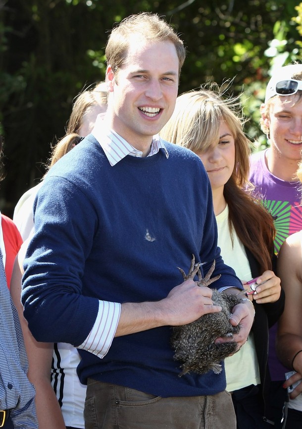 Фотография: Трехдневный визит принца Уильяма в Новую Зеландию №21 - BigPicture.ru