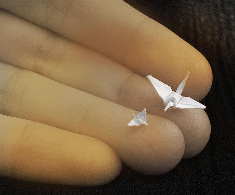 Фотография: Мини-оригами №14 - BigPicture.ru