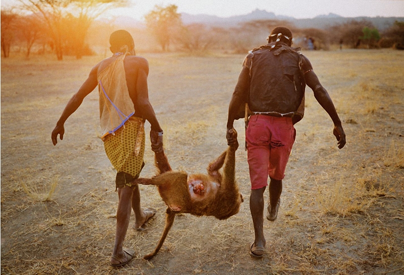 Фотография: Африканское племя хадза №18 - BigPicture.ru