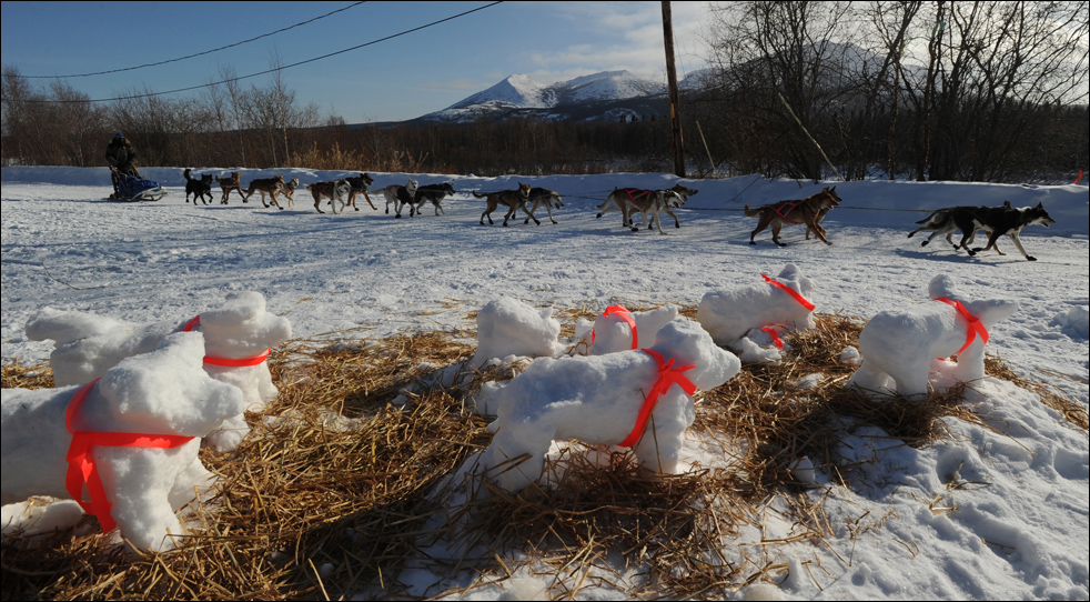 Фотография: Гонки на собачьих упряжках Iditarod 2010 №15 - BigPicture.ru
