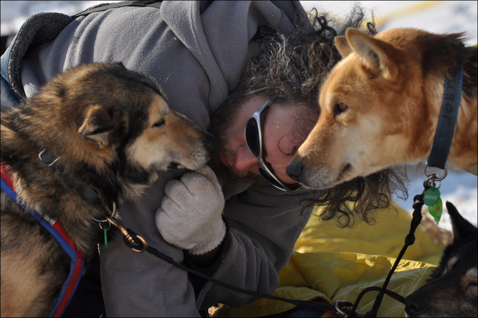 Фотография: Гонки на собачьих упряжках Iditarod 2010 №20 - BigPicture.ru