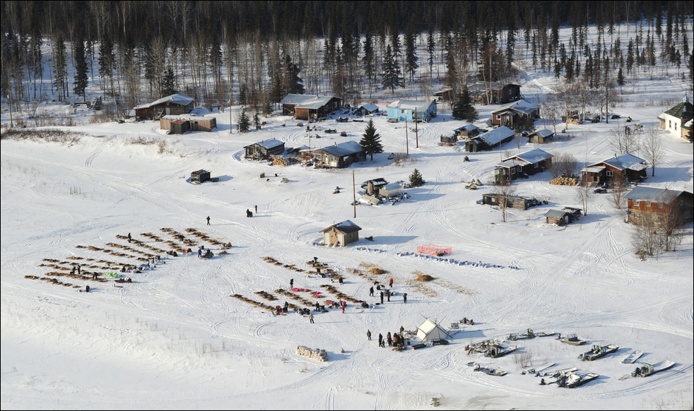 Фотография: Гонки на собачьих упряжках Iditarod 2010 №24 - BigPicture.ru