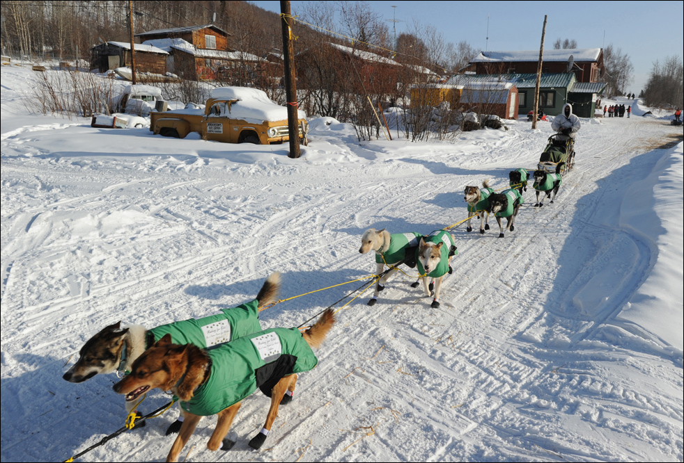 Фотография: Гонки на собачьих упряжках Iditarod 2010 №4 - BigPicture.ru