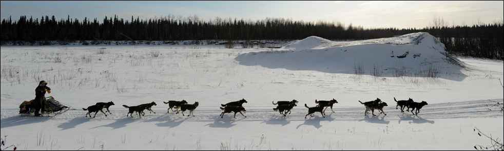 Фотография: Гонки на собачьих упряжках Iditarod 2010 №7 - BigPicture.ru