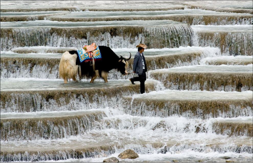 Фотография: Номады – кочевники Тибета (Часть 1) №12 - BigPicture.ru