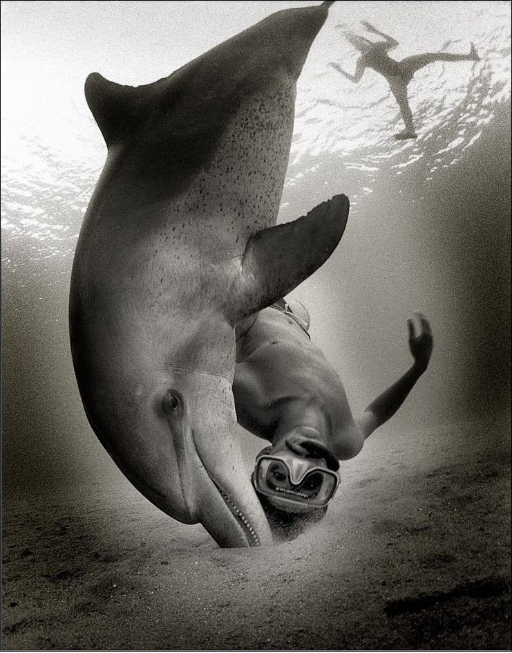 Фотография: Зена Холловэй: Подводные фотографии №12 - BigPicture.ru