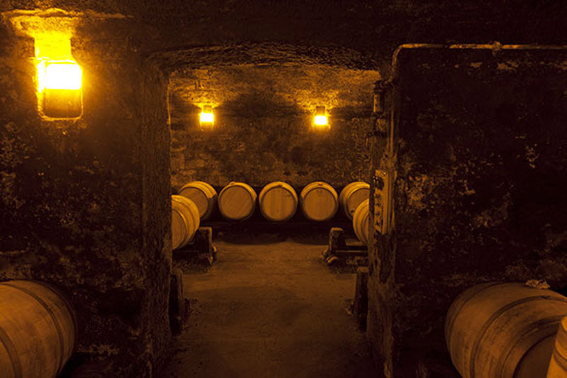 Фотография: Дегустация вина в Бордо №14 - BigPicture.ru