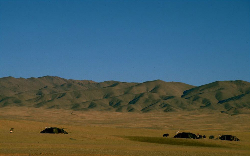 Фотография: Номады – кочевники Тибета (Часть 2) №17 - BigPicture.ru