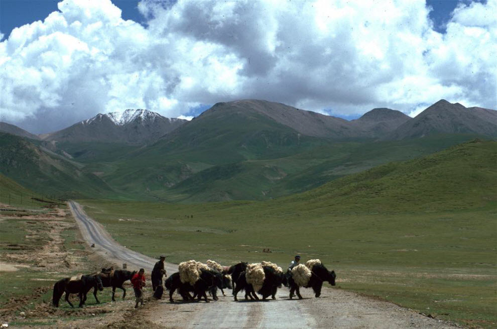 Фотография: Номады – кочевники Тибета (Часть 2) №26 - BigPicture.ru