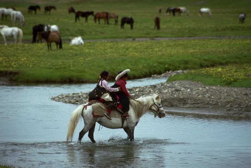 Фотография: Номады – кочевники Тибета (Часть 2) №27 - BigPicture.ru