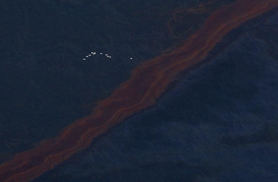 Фотография: Разлив нефти в Мексиканском заливе №8 - BigPicture.ru