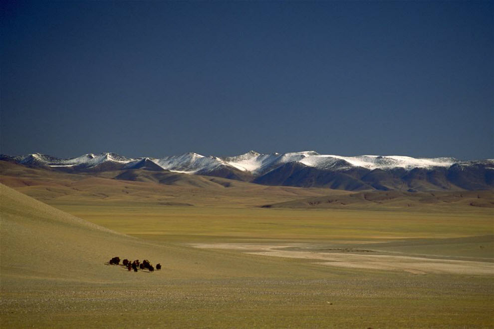 Фотография: Номады – кочевники Тибета (Часть 2) №36 - BigPicture.ru