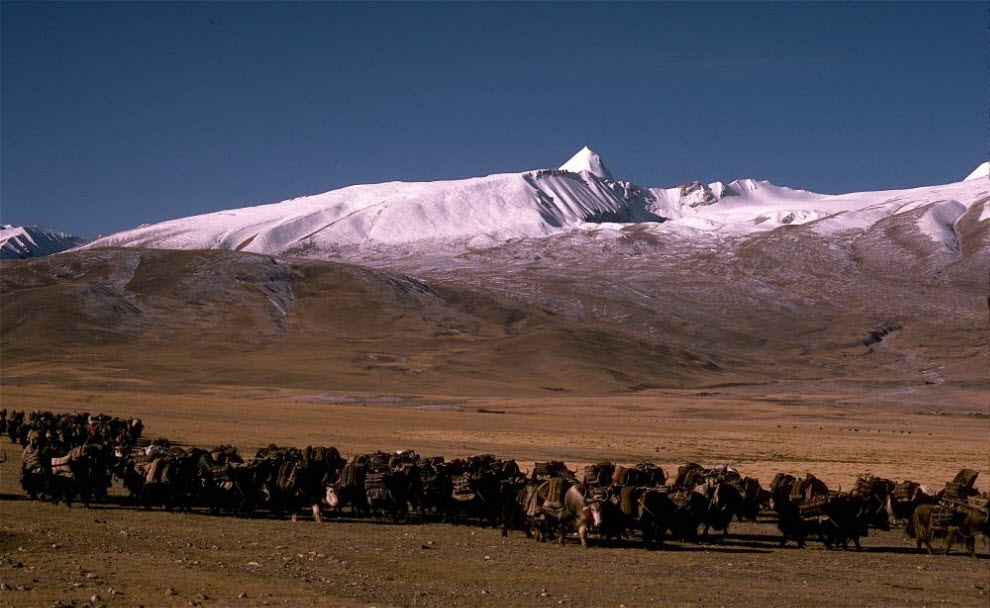 Фотография: Номады – кочевники Тибета (Часть 2) №6 - BigPicture.ru