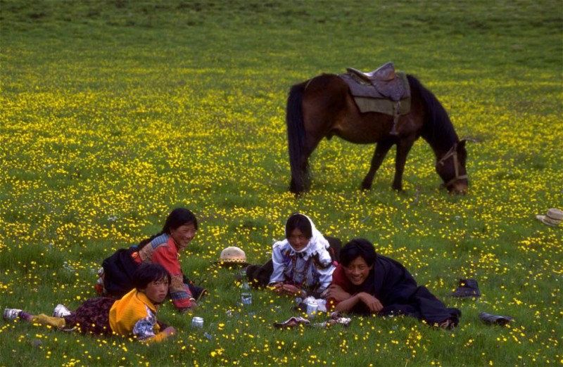 Фотография: Номады – кочевники Тибета (Часть 2) №1 - BigPicture.ru