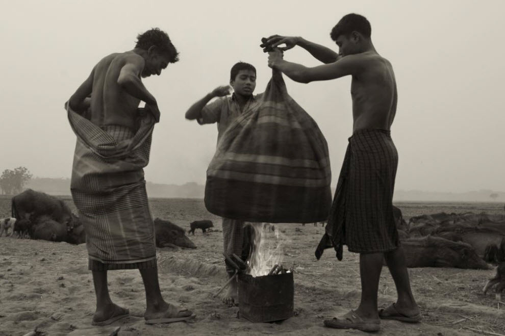 Фотография: Свинопасы в Бангладеше: Цыганская жизнь №13 - BigPicture.ru