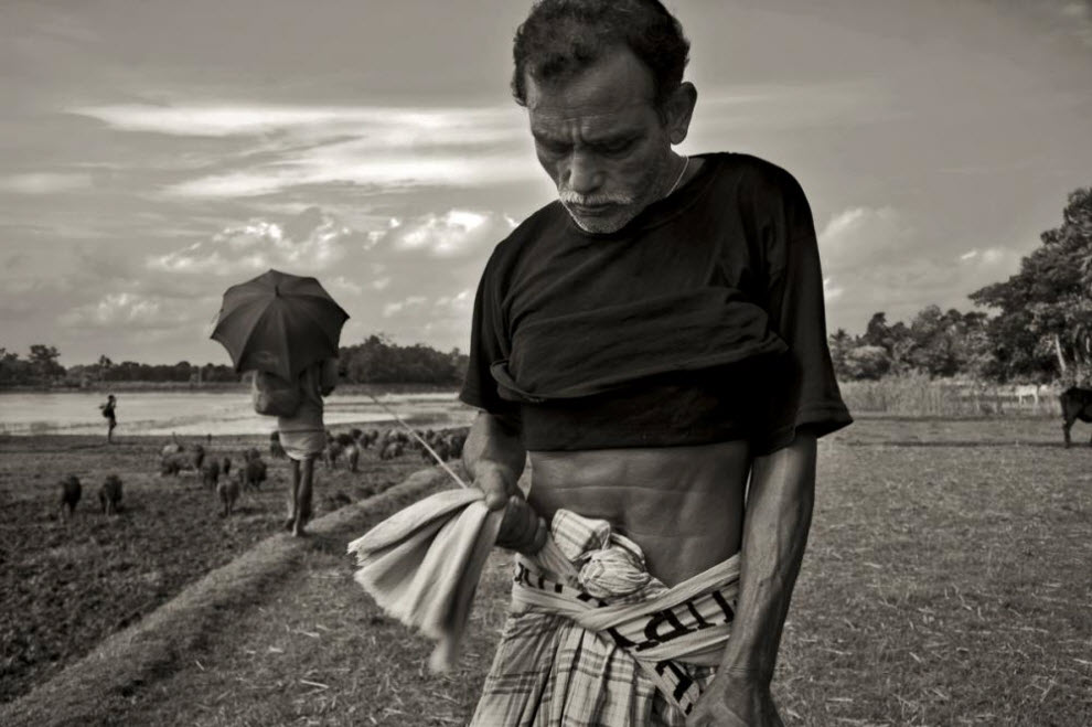 Фотография: Свинопасы в Бангладеше: Цыганская жизнь №6 - BigPicture.ru