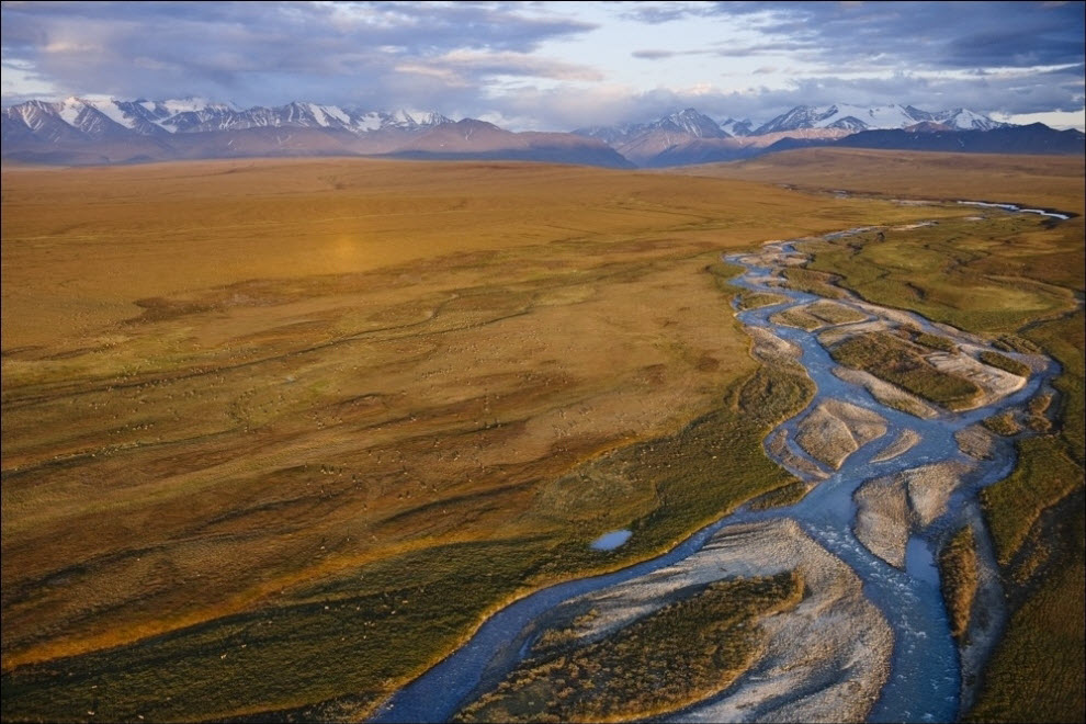 Фотография: Аляска: Тут тоже когда-нибудь разольется нефть? №8 - BigPicture.ru
