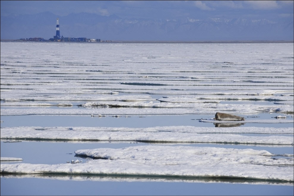 Фотография: Аляска: Тут тоже когда-нибудь разольется нефть? №10 - BigPicture.ru