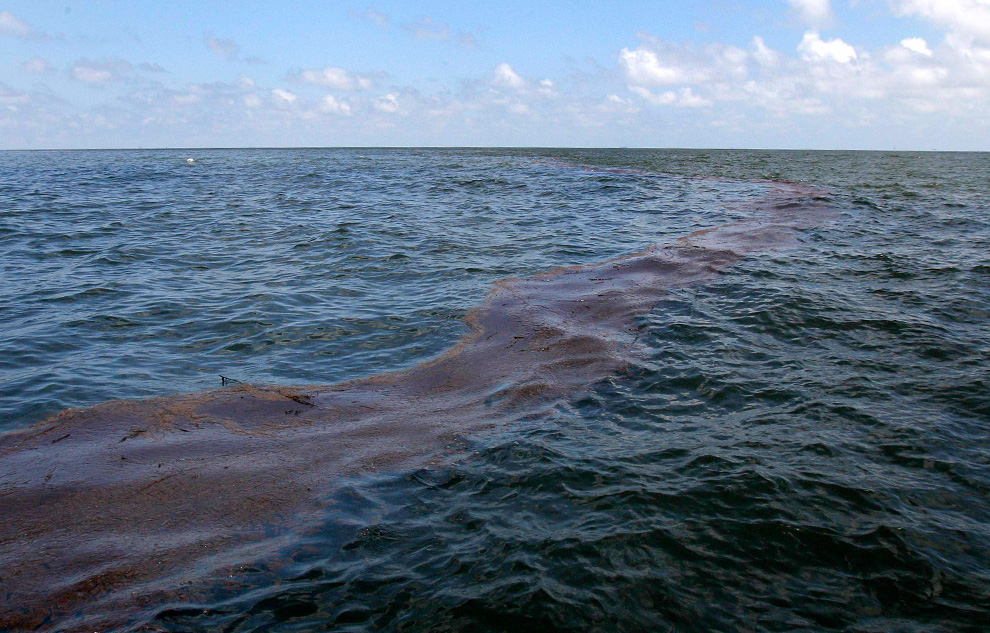 Фотография: Нефть достигла берегов Луизианы №15 - BigPicture.ru